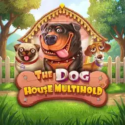 The Dog House Multihold gra w Faststone Casino dla graczy z Polski The Dog House Multihold gra w Faststone Casino dla graczy z Polski